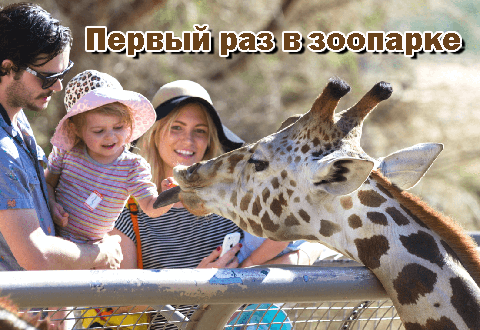Первый раз в зоопарке